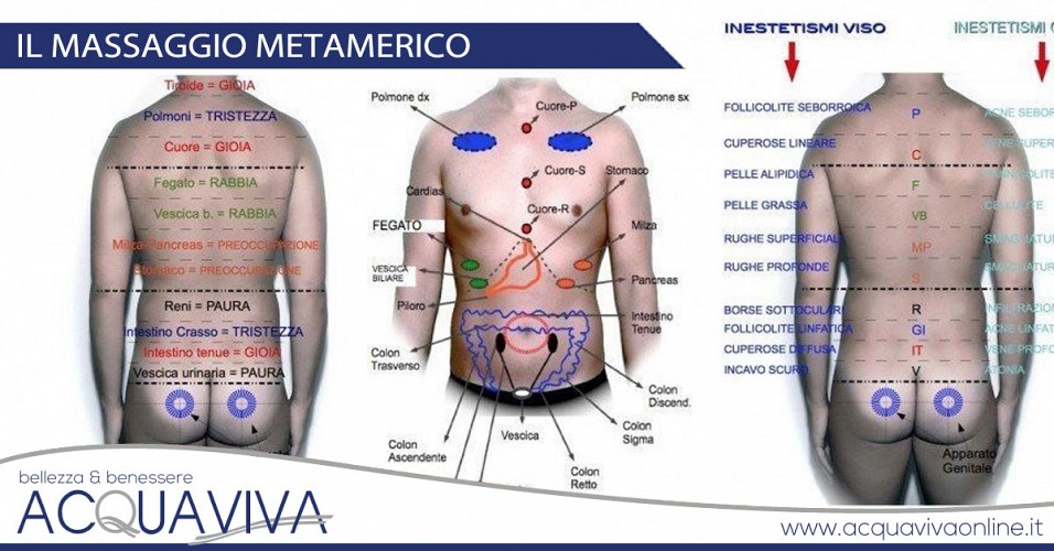 Il massaggio metamerico