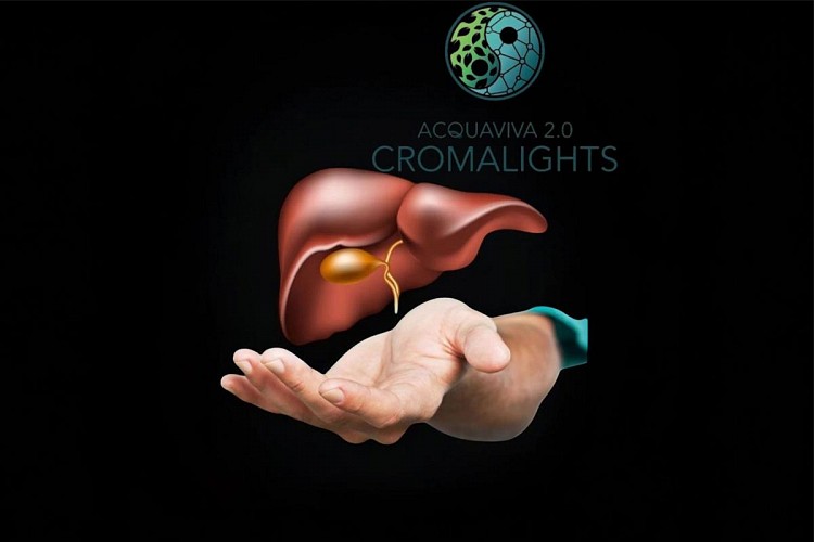 L’importanza di riequilibrare l’elemento Legno nei trattamenti corpo